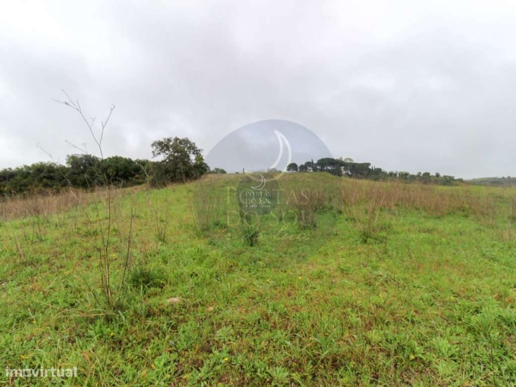 2 Terrenos Confinantes c/ 27.280 m2 e Ribeiro. - Grande imagem: 4/5