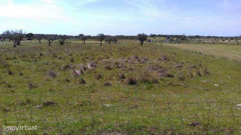 Quintinha com 0,6 Hectare - Grande imagem: 4/6