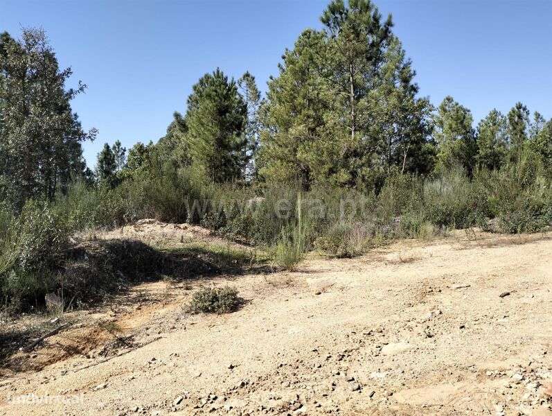 Terreno Rústico / Fundão, Pêro Viseu - Grande imagem: 3/7