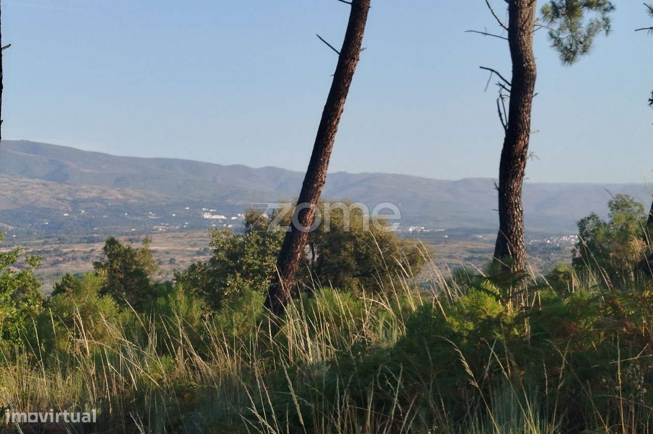 Terreno urbanizável, confinante c/ 2 arruamentos públicos pavimentos - Grande imagem: 3/25