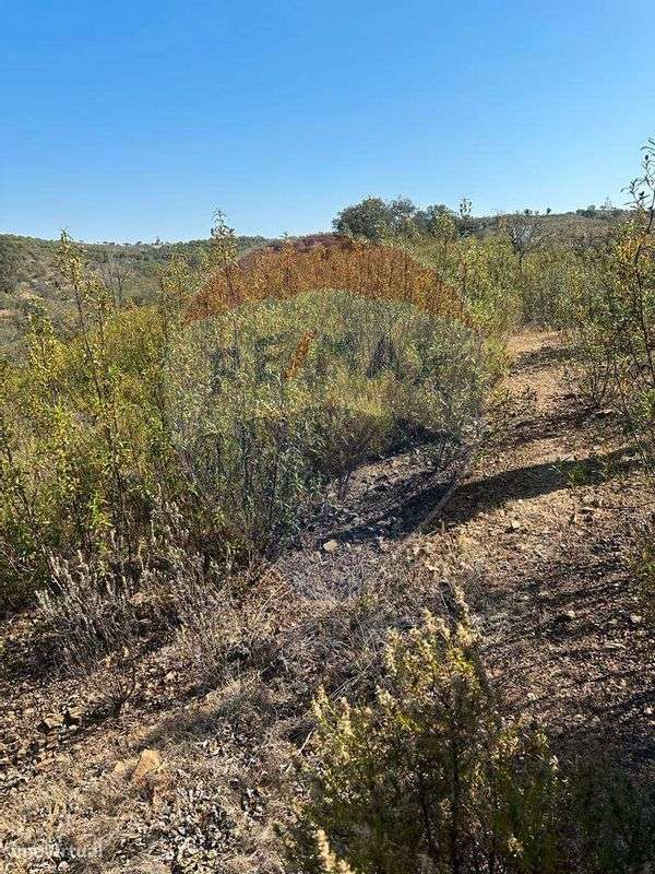 Terreno  para venda - Grande imagem: 4/9