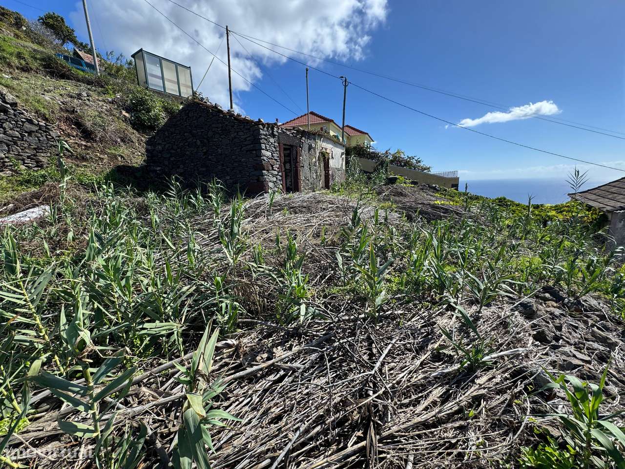 Terreno com Projeto Aprovado para Moradia com Piscina - Fajã da Ovelha - Grande imagem: 4/6