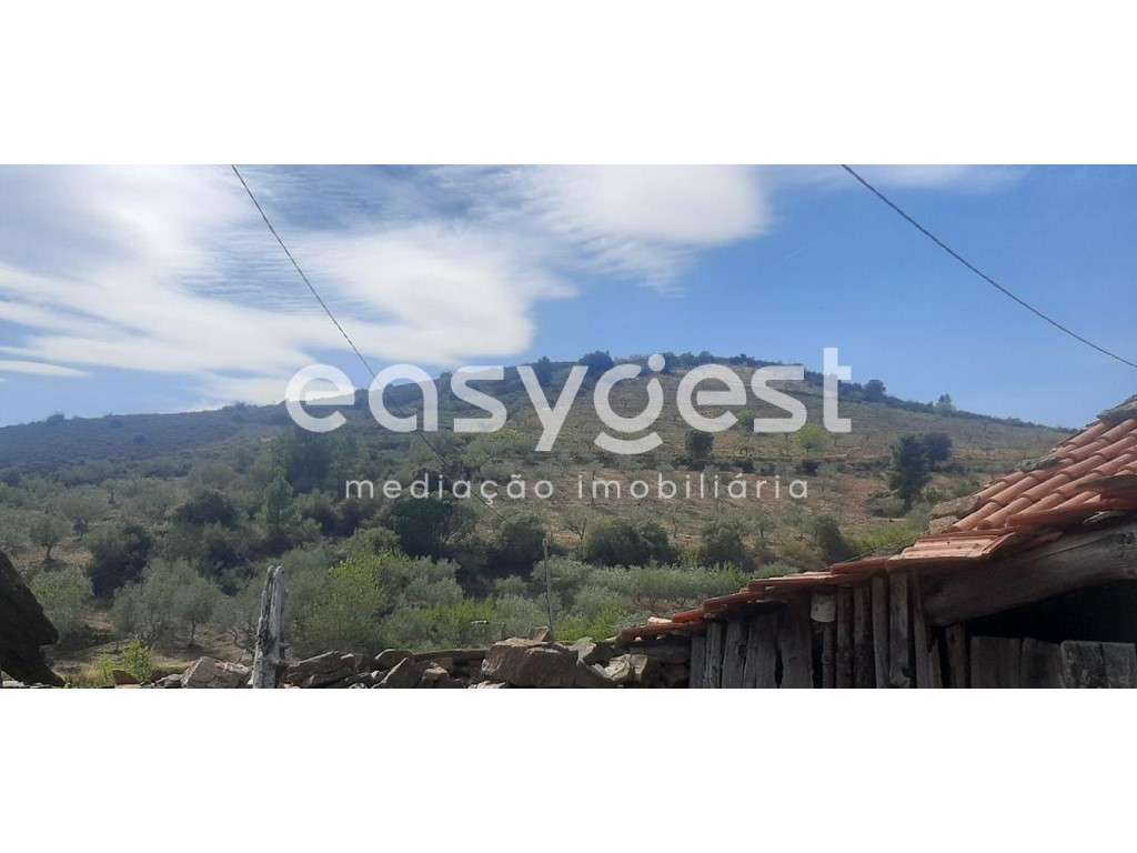 Moradia para recuperar na localidade de Quinta das Pereiras, Carviçais - Grande imagem: 4/12