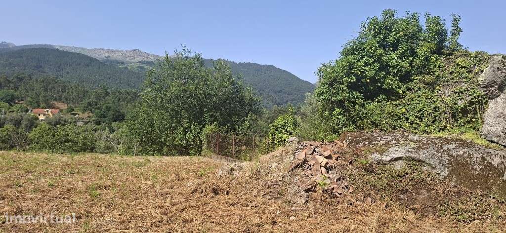 Terreno c/ Sequeira p/ Restauro  - Bouro Santa Marta-16