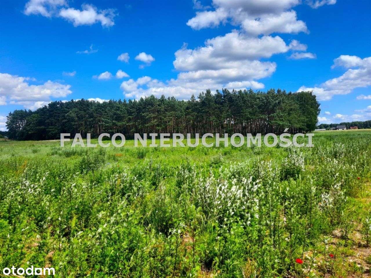 Zławieś Wielka, działki pod zabudowę jednorodzinną-0