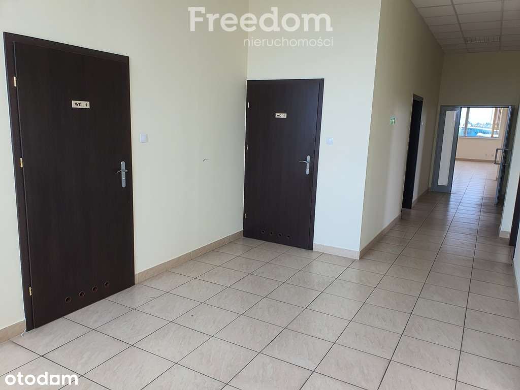 Powierzchnia biurowa/handlowa do wynajęcia, lokal - Pełny obrazek: 4/8