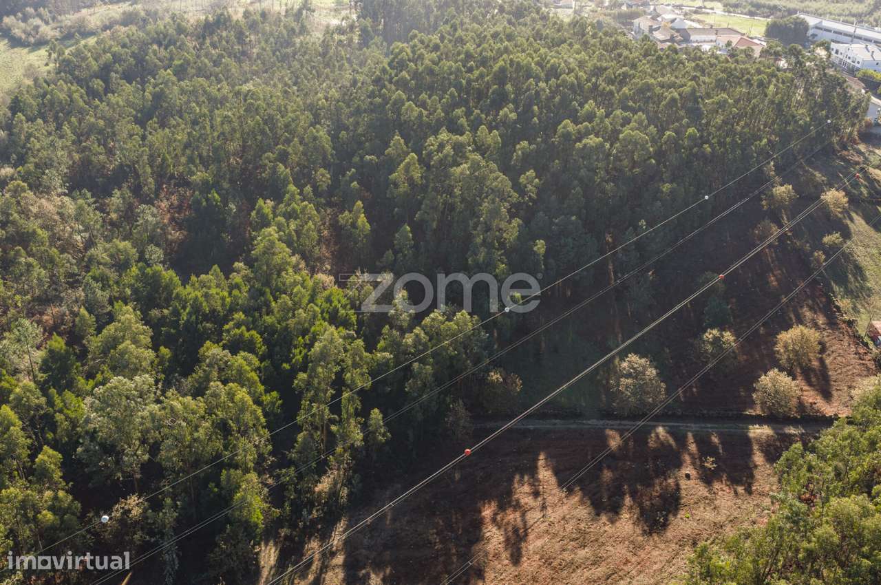 Terreno Rústico com 3.930 m2 na Carvalhosa, Paços de Ferreira - Grande imagem: 4/15