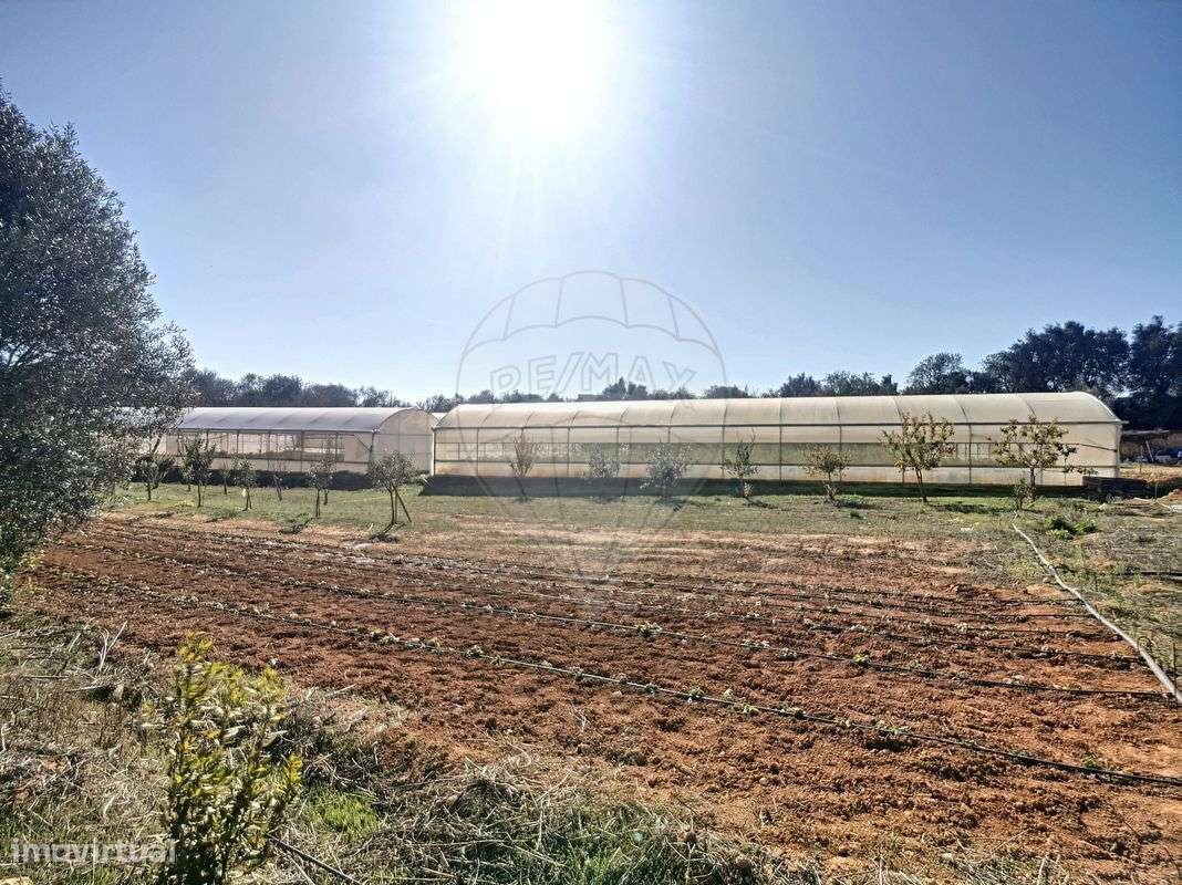 Quinta  para venda-27