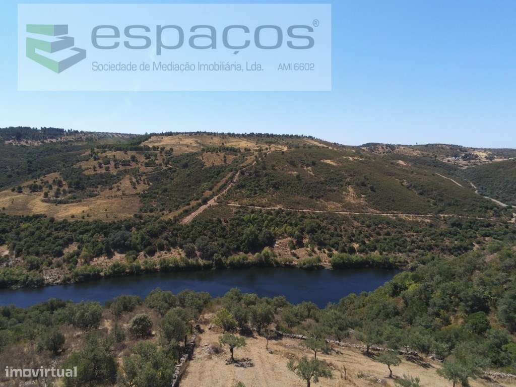 Quinta Rustica junto ao Rio Tejo - Grande imagem: 5/22