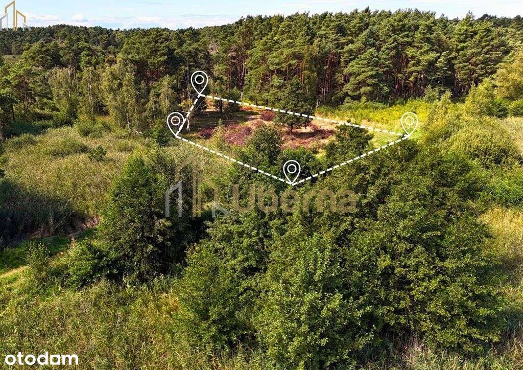 Działka nad morzem - Pełny obrazek: 5/14