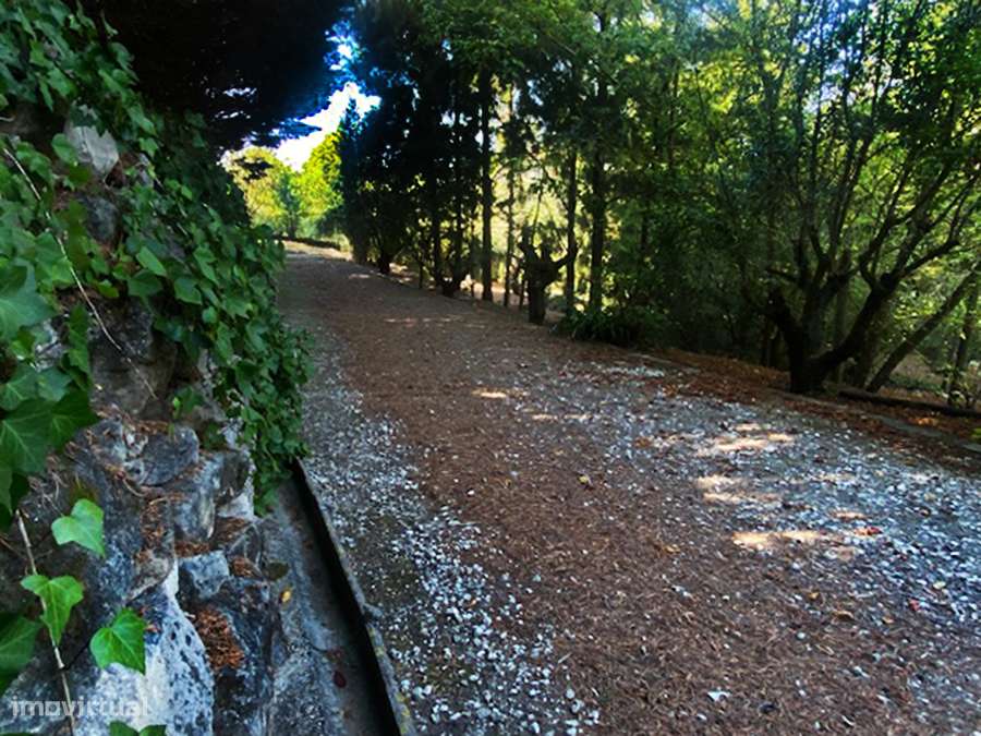 Moradia T5 grande propriedade, pleno campo, arredores Caldas da Rainha-10