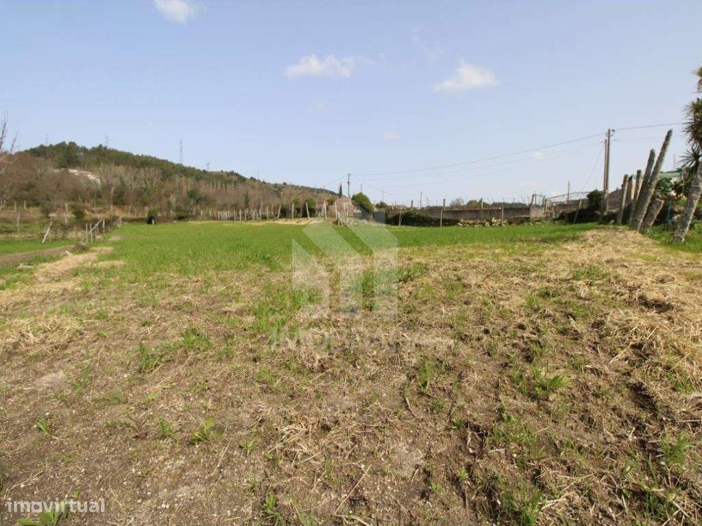 Venda Terreno com possibilidade de Lotear, em S. Mamede (Este), Braga-11