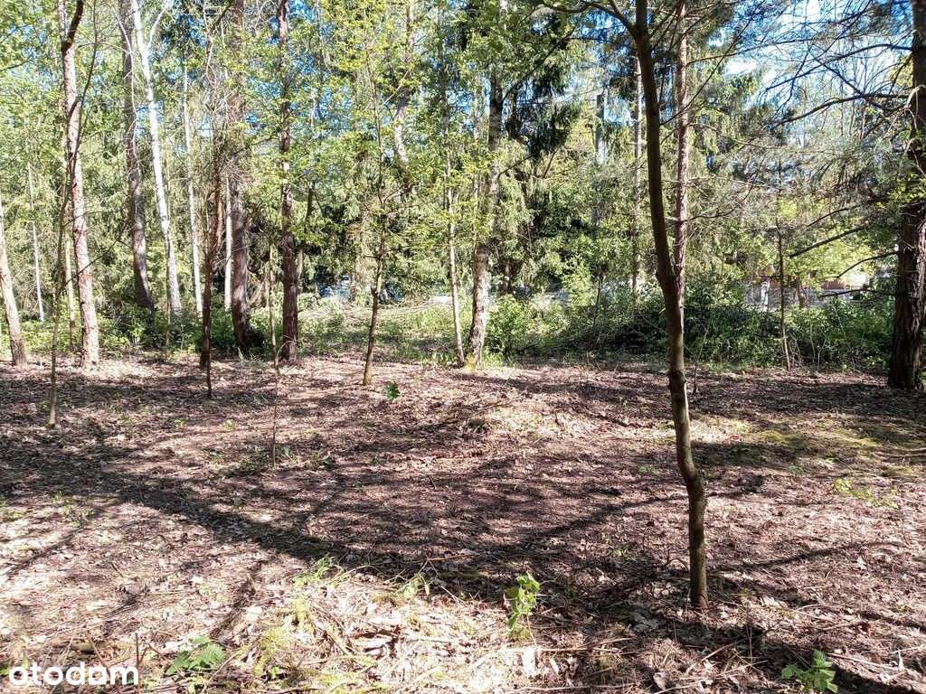 ⭐⭐⭐⭐⭐ Działka w okolicy Hotelu Afrodyta ⭐⭐⭐⭐⭐ - Pełny obrazek: 5/8