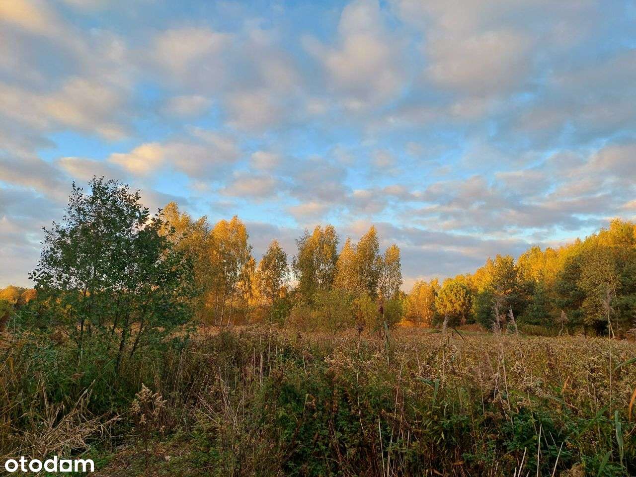 Piękna działka budowlana położona w Duchnowie-3