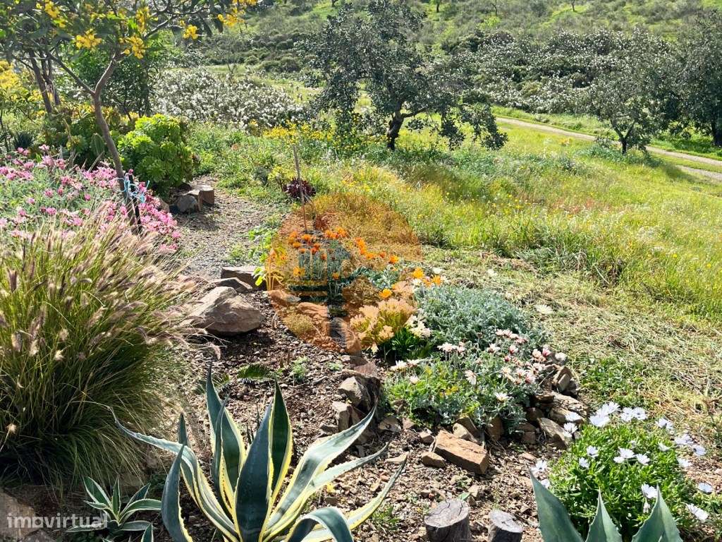 Refúgio Rústico na Encosta com Olival - Castro Marim, Algarve - Grande imagem: 4/14