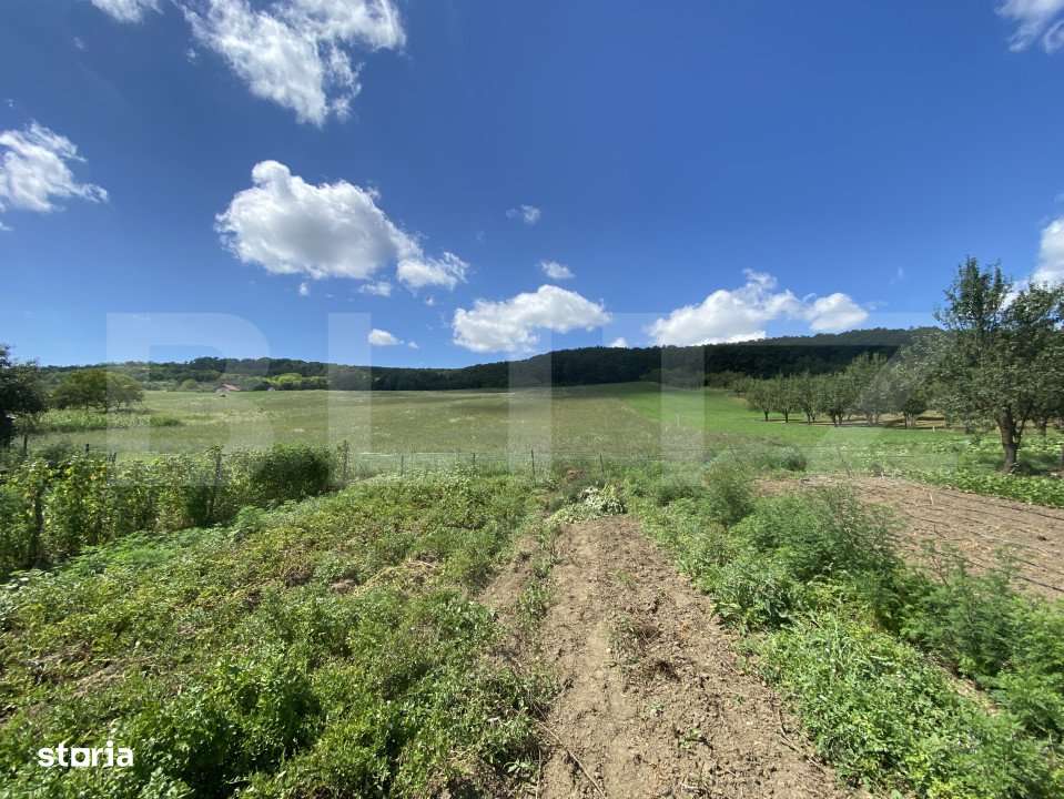 Teren intravilan in suparafat de 19213 mp, zona Valea Mitii - Imagine principală: 5/5