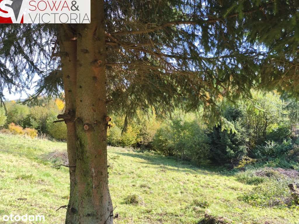 Kameralne miejsce z pięknym widokiem - Pełny obrazek: 5/6