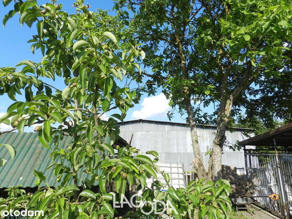 Hala 1152 m2, wiata 1260 m2 plus Dom - Deszczno-16