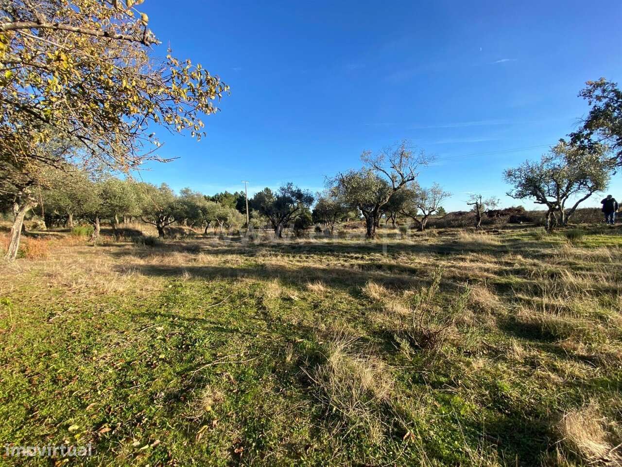 Quintinha T1 / Fundão, Vale de Prazeres e Mata da Rainha - Grande imagem: 5/12