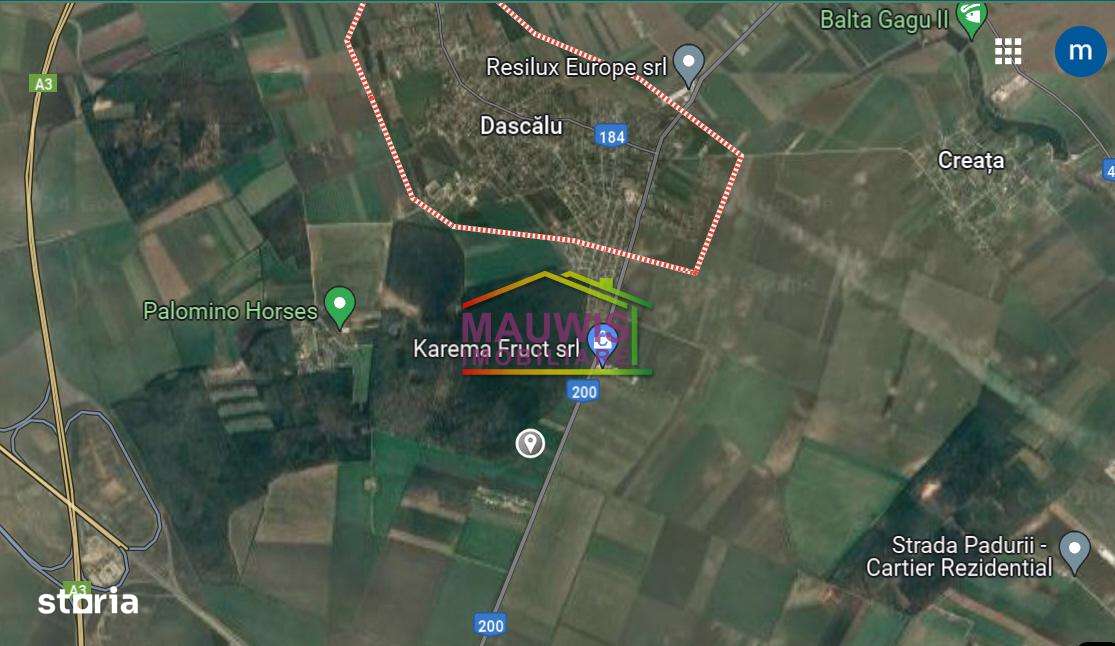 Vand sau inchiriez teren intravilan cu PUZ Stefanesti- Dascalu. - Imagine principală: 2/2