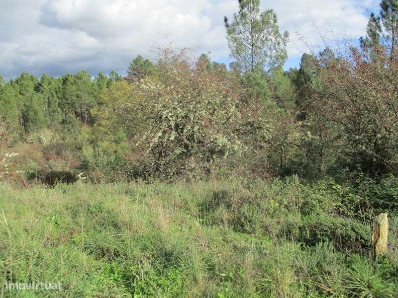 Moradia - Grande imagem: 5/9