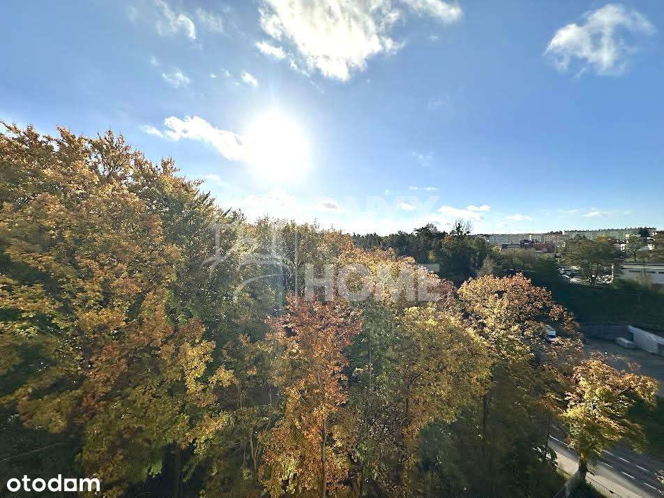 Luksusowe 2 pokoje! Hala, loggia! Gdynia Witomino-5