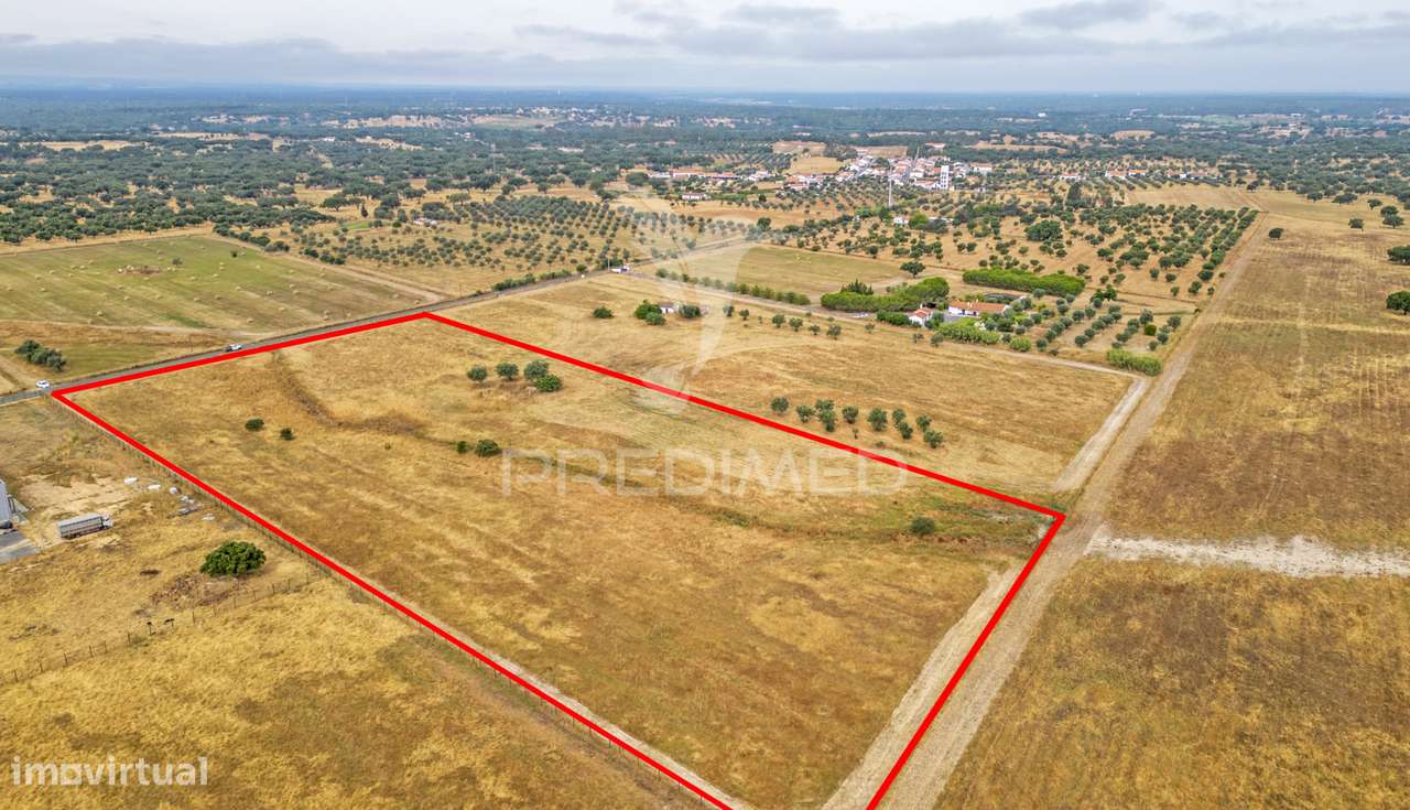 Quinta com 2,8250 ha e ruínas com 46 m2 em Fornalhas Velhas - Grande imagem: 5/25