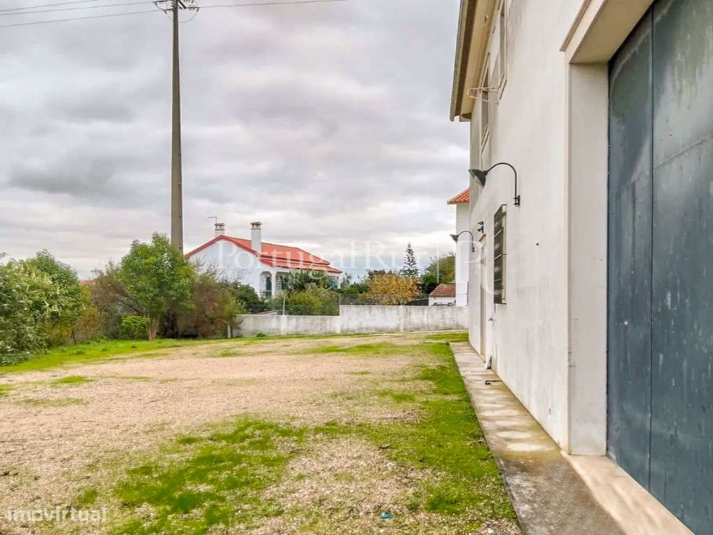 Quinta com 13.000 m² e 3 Moradias no Cartaxo, Póvoa da Isenta-17