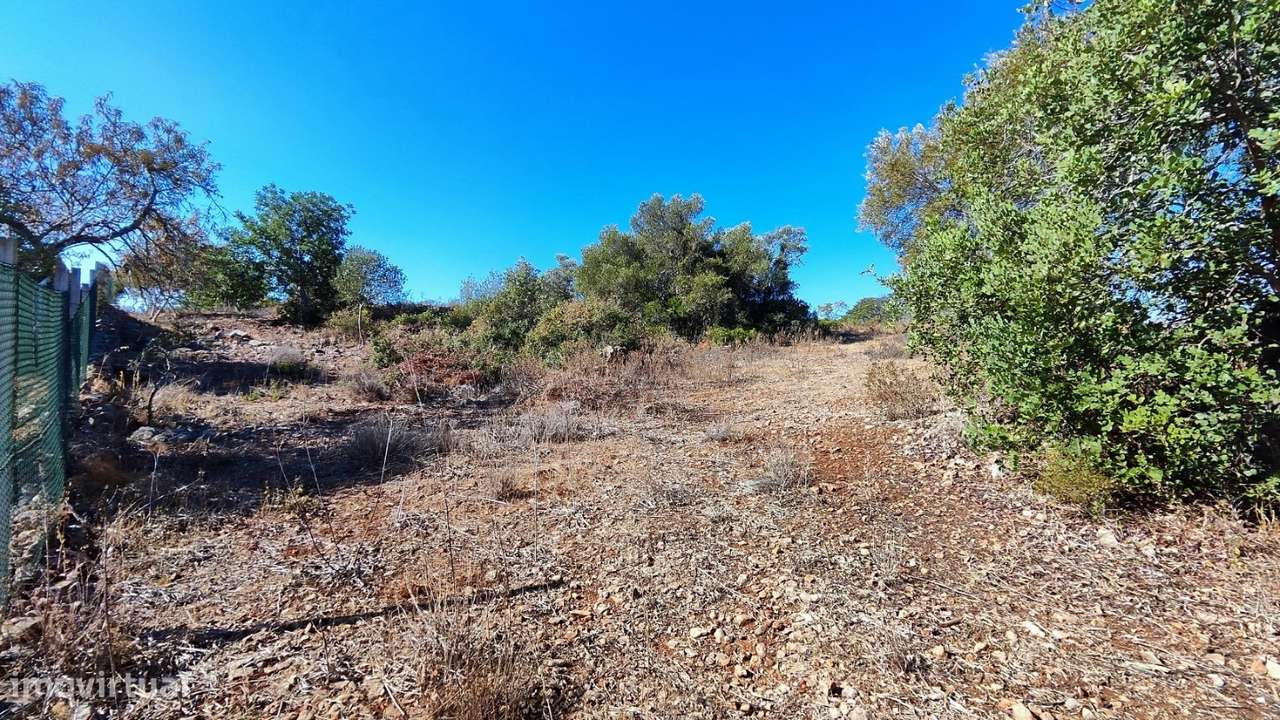 Terreno urbano + rústico 8.120 m2 em Tunes - Grande imagem: 4/19