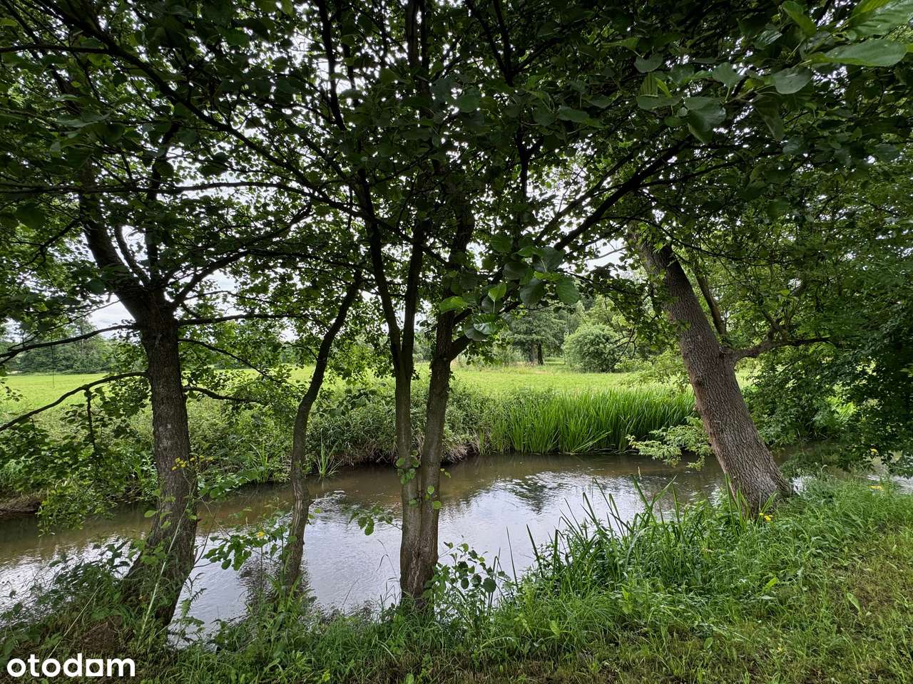 Dom z Potencjałem w Malowniczej Lokalizacji nad Rzeką-15