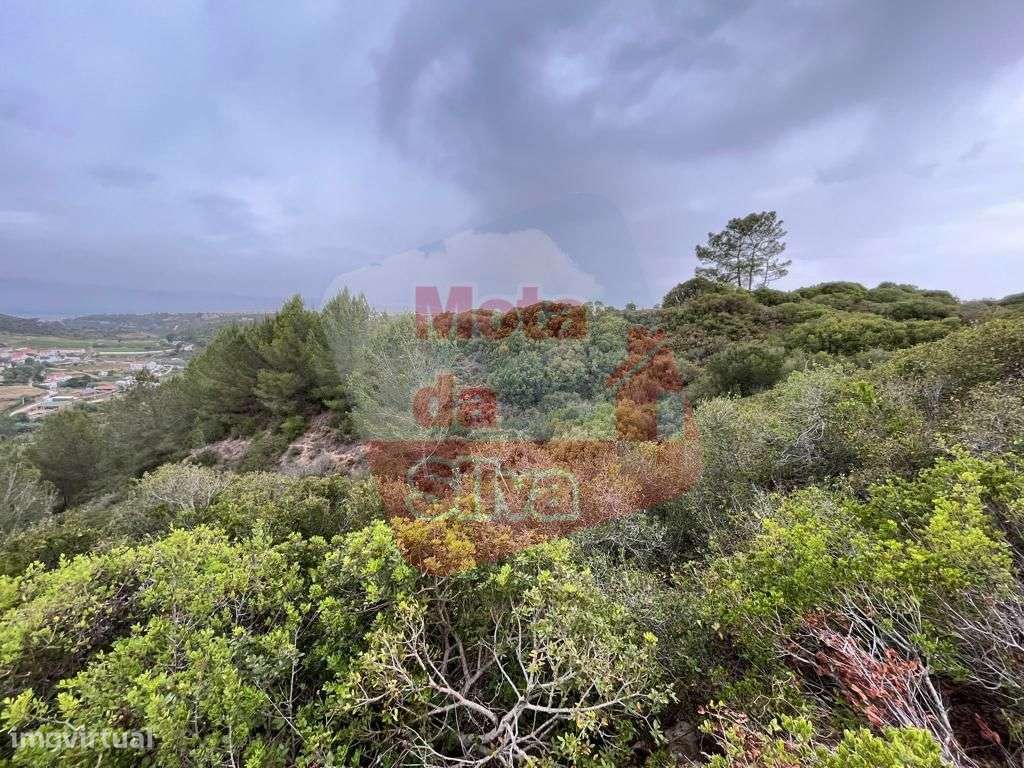 Terreno Rústico Carvoeira | Mafra - Grande imagem: 1/16