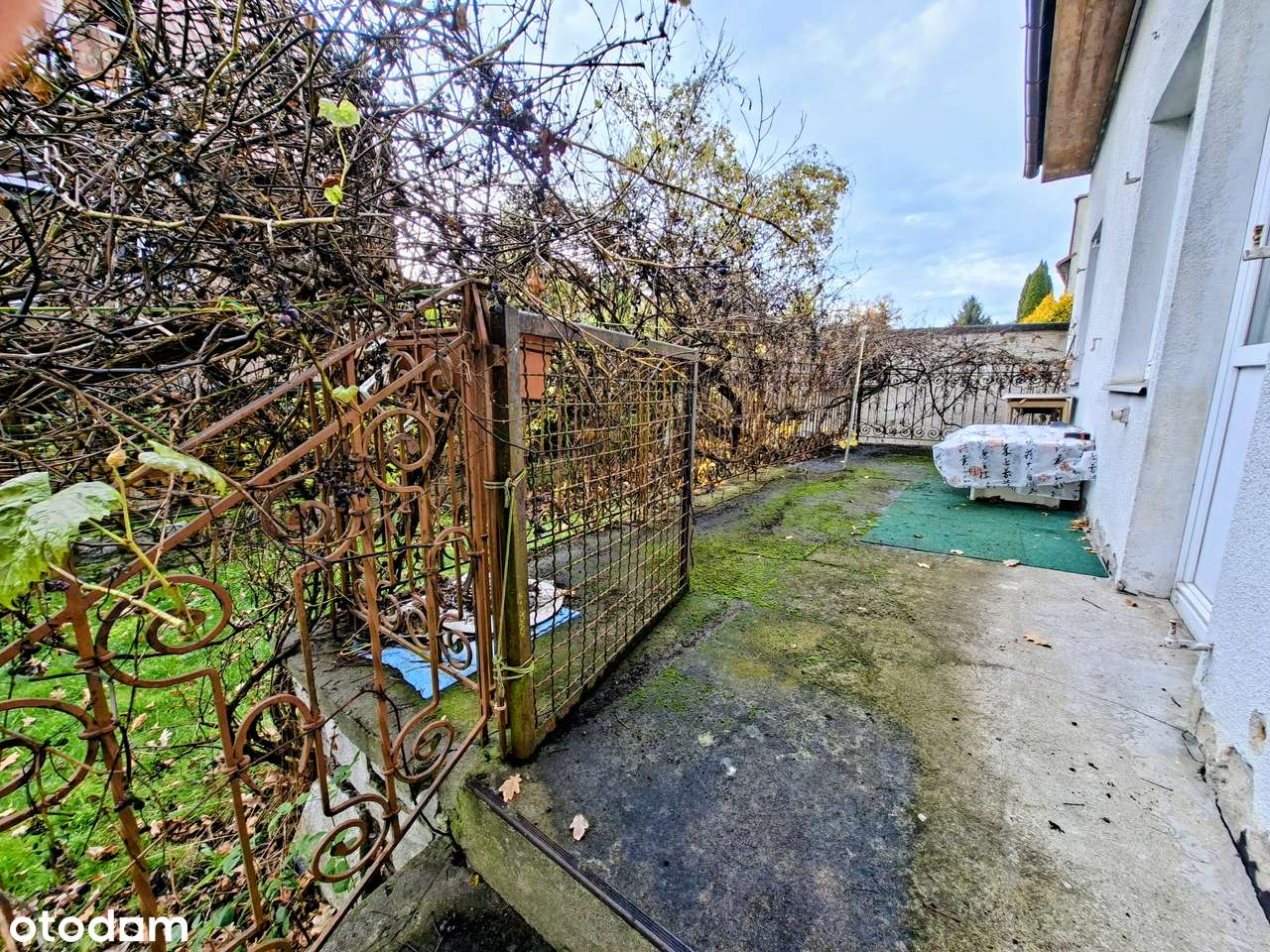 Arkońskie, dom wolnostojący z dużym ogrodem i garażem - Pełny obrazek: 4/20