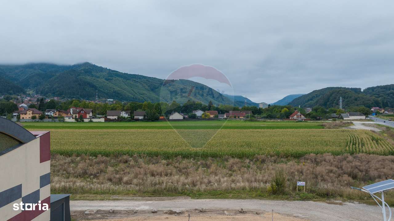 Un lot de casa intrare Sacele 790 mp + 3 loturi de 440mp - Imagine principală: 2/14