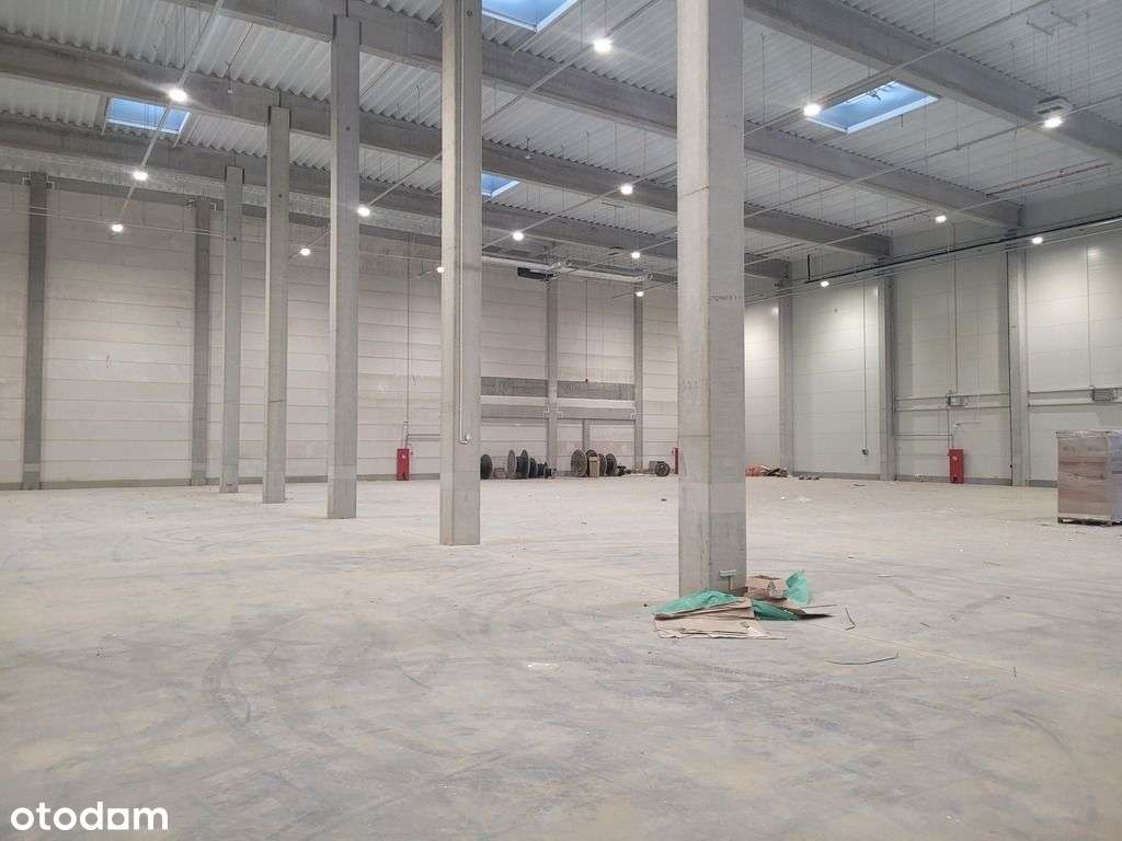 Moduły Magazynowe - Pełny obrazek: 4/18