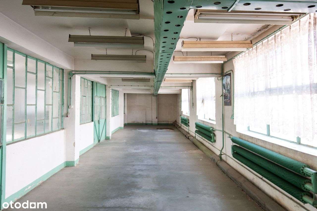 Hala magazynowo-produkcyjna - Pełny obrazek: 4/13