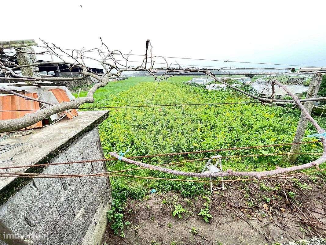 Moradia T2 para venda - Grande imagem: 5/7