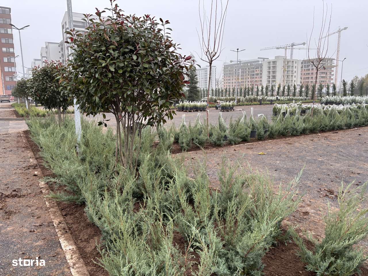 3 camere premium | Parc privat 6.000 mp | West Avenue Residence-5