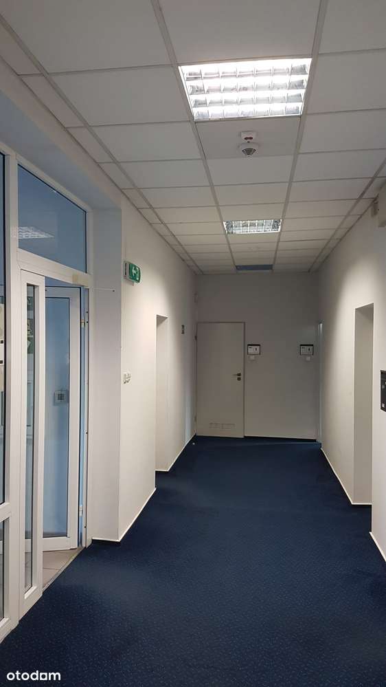 Wynajmę lokal biurowy - Pełny obrazek: 2/3