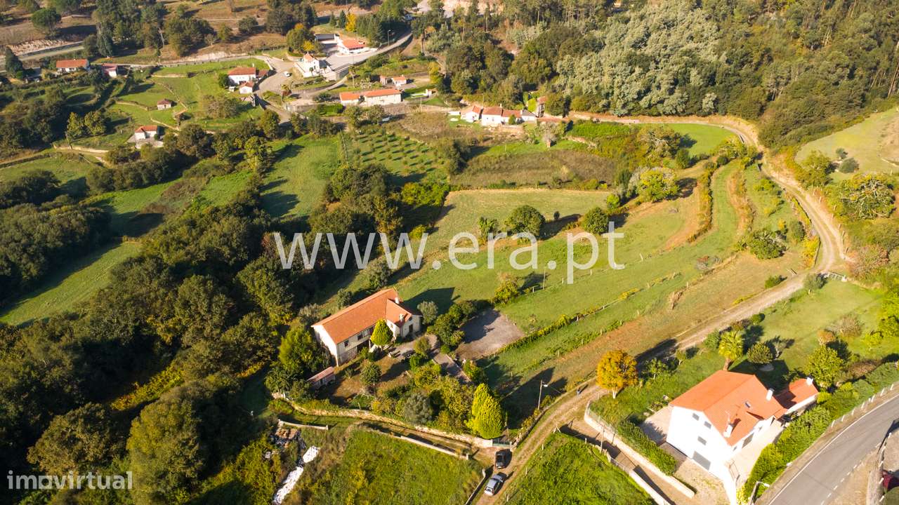 Quinta T4+3 com 14.000m2, Mentrestido VNC - Grande imagem: 4/20