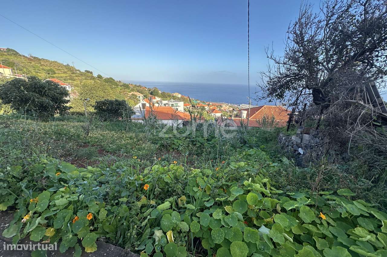 Terreno para construção em Santa Cruz-9