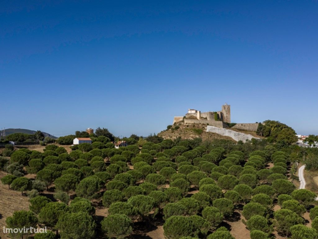 Terreno de 5 ha com 2 casas junto ao Castelo de Palmela