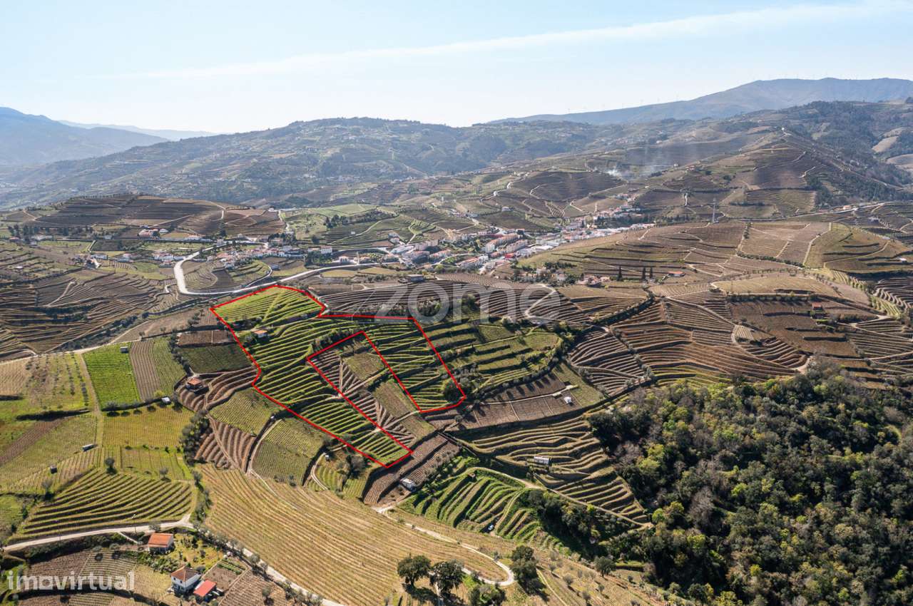Terreno com 9 121 m2 situado em S. Marta de Penaguião - Grande imagem: 4/15