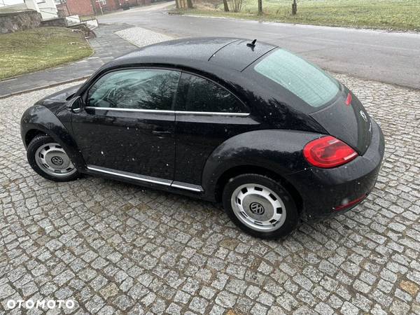 Volkswagen Beetle - 24