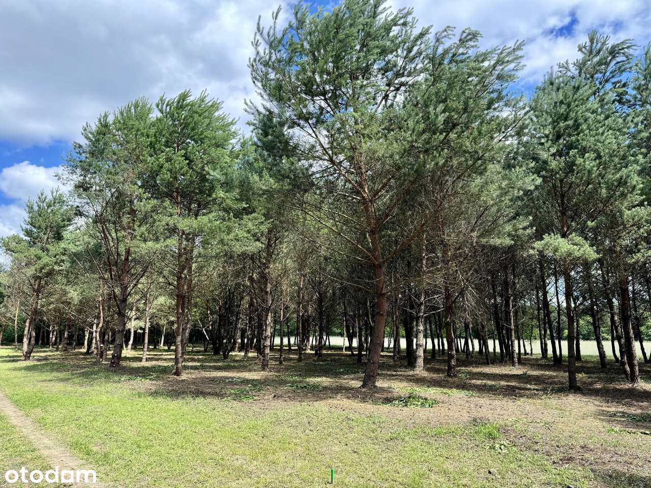 Działki budowlane, wodociąg, prąd, 1,5 km j. Lucieńskie-13