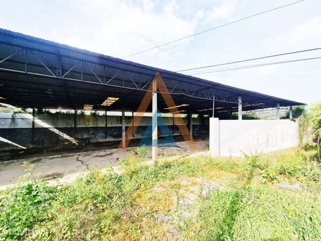 Maravilhosa quinta com casa e terreno-25