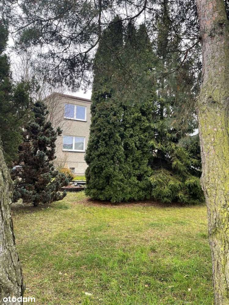 Przestronny dom z potencjałem w Rybniku-Kamień-15