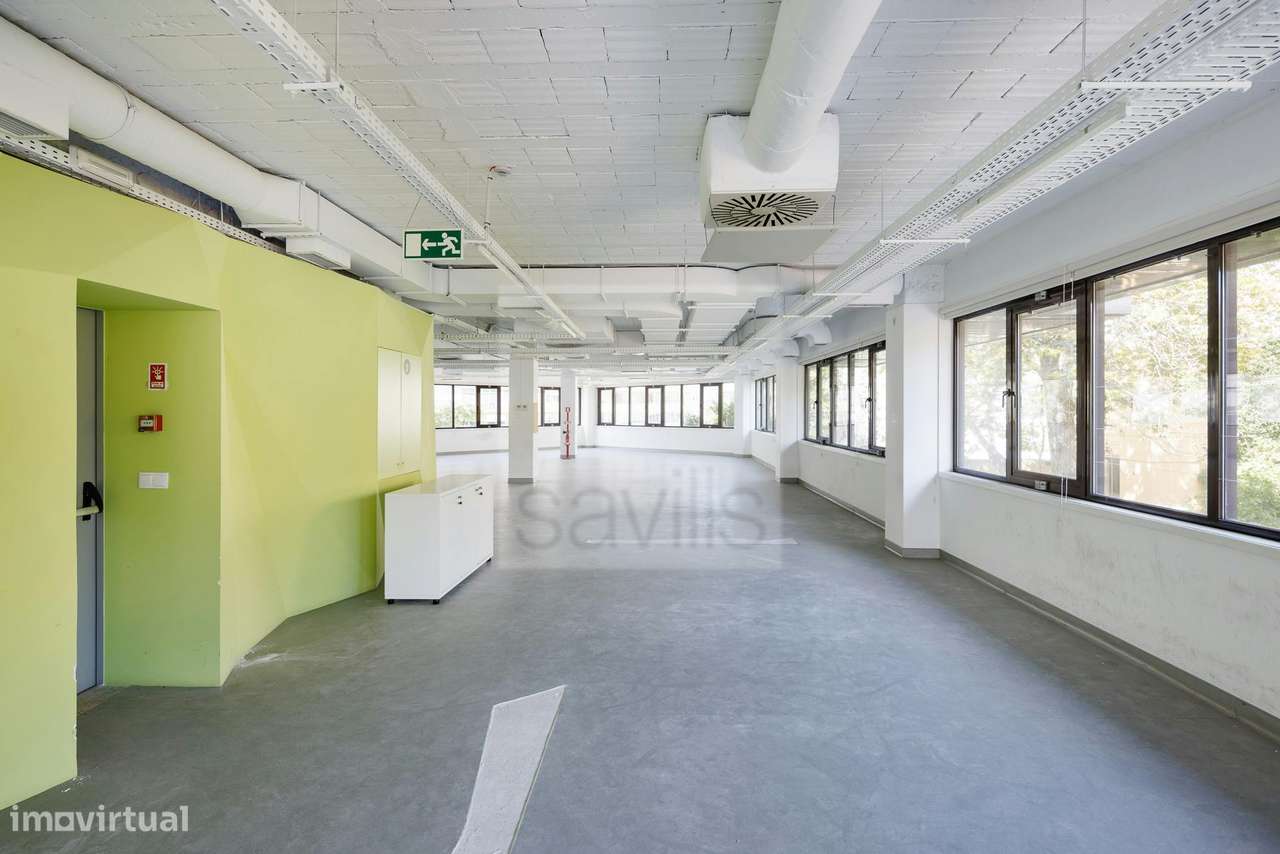 Ricardo Severo 3 - Grande imagem: 2/16