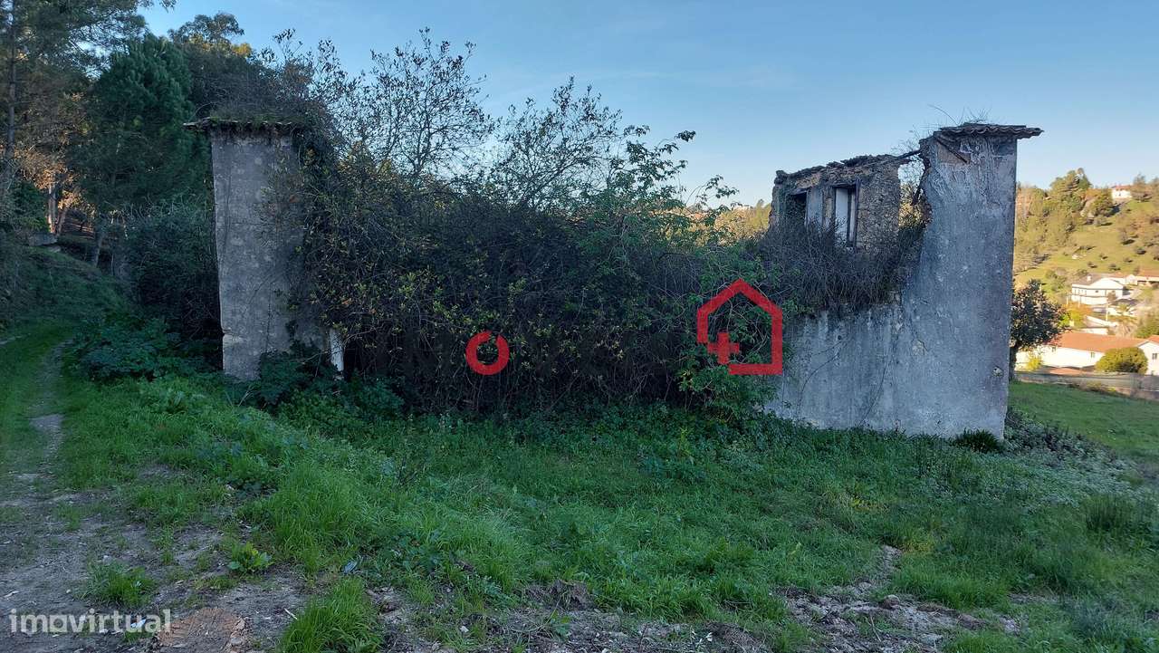 Moradia e terreno com seis mil metros quadrados! - Grande imagem: 5/34