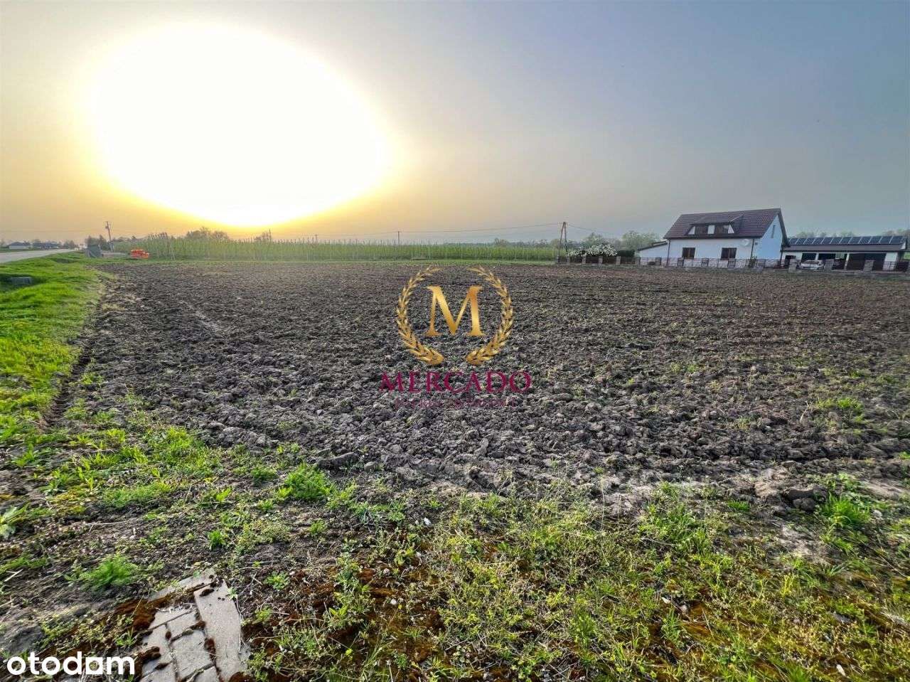 Działka 3000m2 w Borzymiu Tylko dla Rolnika! - Pełny obrazek: 4/6