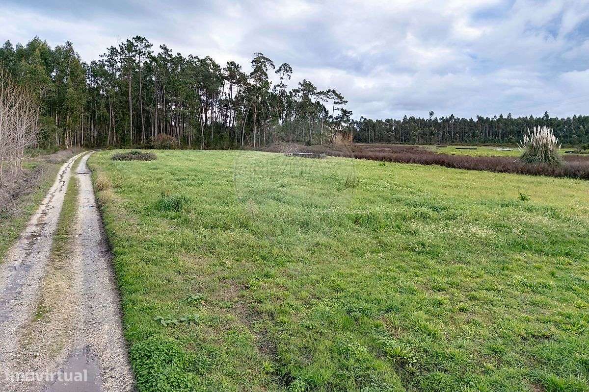 Terreno  para venda - Grande imagem: 4/12